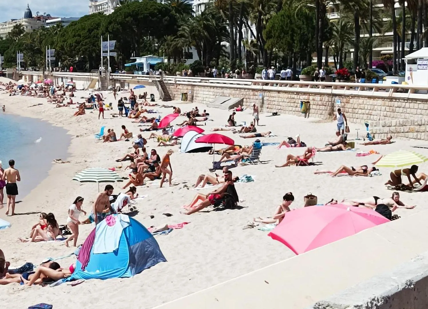Appartement Le Salvator à Cannes France